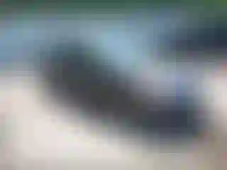 Vehicle Image- 2013 Chevrolet Malibu