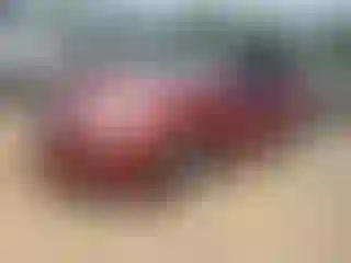 Vehicle Image- 2013 Chevrolet Malibu