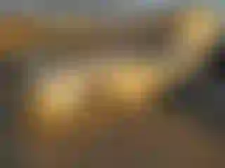 Vehicle Image- 2014 Chevrolet Malibu