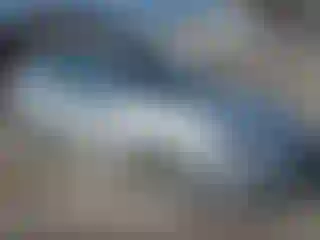 Vehicle Image- 2014 Chevrolet Malibu