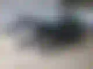 Vehicle Image- 2013 Chevrolet Malibu