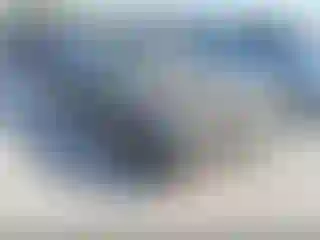 Vehicle Image- 1983 Chevrolet Camaro