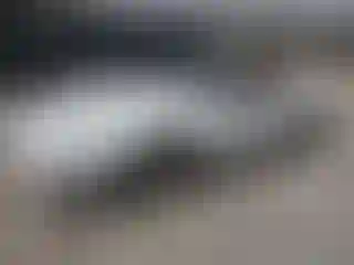 Vehicle Image- 1984 Chevrolet Corvette