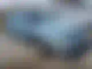Vehicle Image- 1995 Chevrolet Caprice