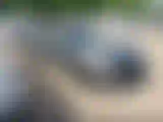 Vehicle Image- 2019 Chevrolet Camaro