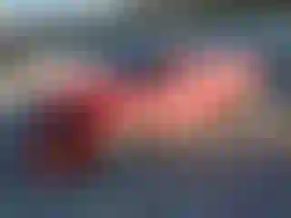 Vehicle Image- 2019 Chevrolet Camaro