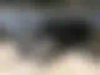 Vehicle Image- 2019 Chevrolet Camaro