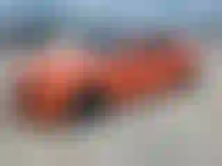 Vehicle Image- 2019 Chevrolet Camaro