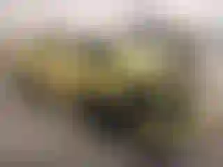 Vehicle Image- 2018 Chevrolet Camaro