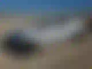 Vehicle Image- 2016 Chevrolet Camaro
