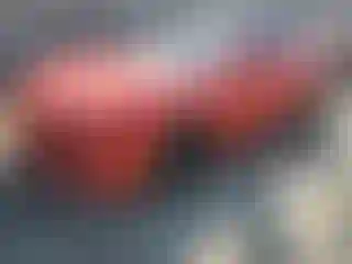 Vehicle Image- 2016 Chevrolet Camaro