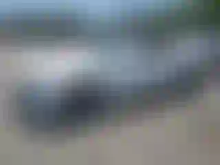 Vehicle Image- 2021 Chevrolet Camaro