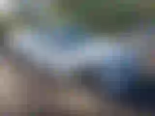 Vehicle Image- 2019 Chevrolet Camaro