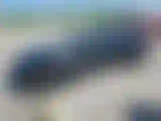 Vehicle Image- 2019 Chevrolet Camaro