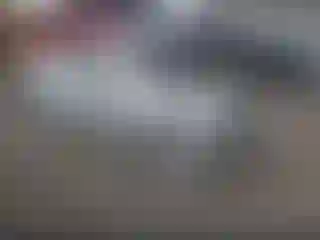 Vehicle Image- 2019 Chevrolet Camaro