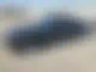Vehicle Image- 2019 Chevrolet Camaro