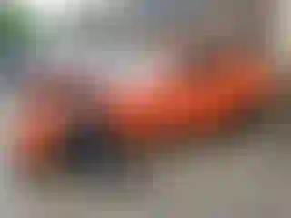 Vehicle Image- 2019 Chevrolet Camaro
