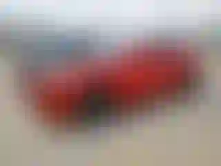 Vehicle Image- 2019 Chevrolet Camaro