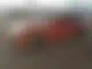 Vehicle Image- 2022 Chevrolet Camaro
