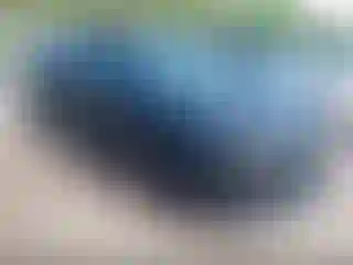 Vehicle Image- 2019 Chevrolet Camaro