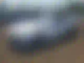 Vehicle Image- 2023 Chevrolet Camaro