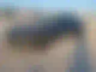 Vehicle Image- 2016 Chevrolet Camaro