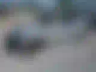 Vehicle Image- 2019 Chevrolet Camaro