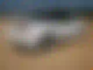 IMPORTOWO.pl