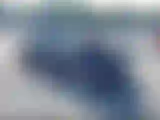 Vehicle Image- 2019 Chevrolet Camaro