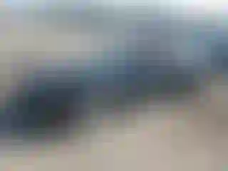 Vehicle Image- 2019 Chevrolet Camaro