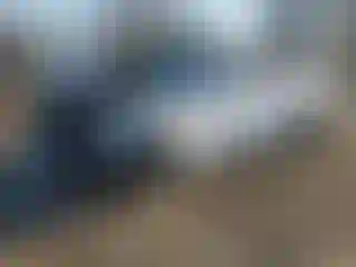 Vehicle Image- 2019 Chevrolet Camaro