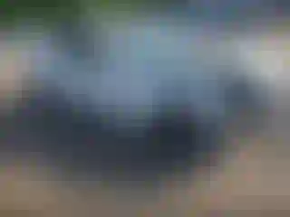 Vehicle Image- 2019 Chevrolet Camaro