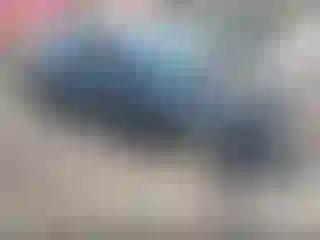 Vehicle Image- 2019 Chevrolet Camaro