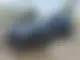 Vehicle Image- 2019 Chevrolet Camaro