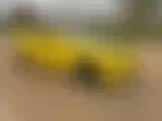 Vehicle Image- 2018 Chevrolet Camaro