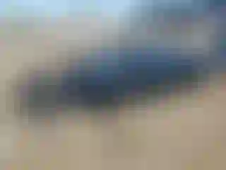 Vehicle Image- 2020 Chevrolet Camaro