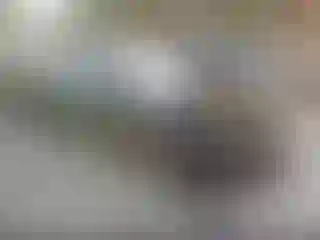 Vehicle Image- 2016 Chevrolet Camaro