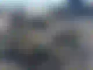 Vehicle Image- 2019 Chevrolet Camaro