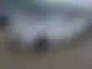 Vehicle Image- 2021 Chevrolet Camaro