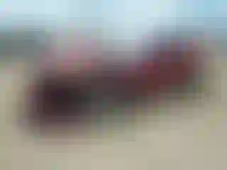 Vehicle Image- 2022 Chevrolet Camaro