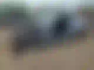 Vehicle Image- 2017 Chevrolet Camaro