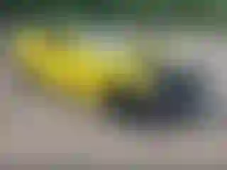 Vehicle Image- 2016 Chevrolet Camaro