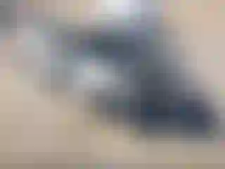 Vehicle Image- 2021 Chevrolet Camaro