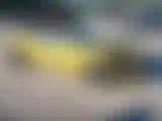 Vehicle Image- 2017 Chevrolet Camaro