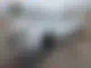 Vehicle Image- 2017 Chevrolet Camaro