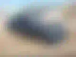 Vehicle Image- 2021 Chevrolet Camaro