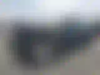 Vehicle Image- 2019 Chevrolet Camaro