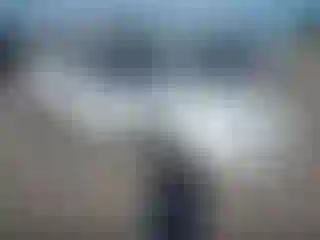 Vehicle Image- 1987 Chevrolet Camaro
