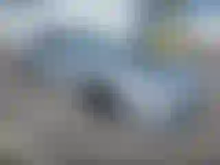 Vehicle Image- 1992 Chevrolet Camaro