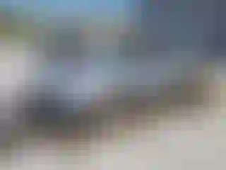 Vehicle Image- 1986 Chevrolet Camaro